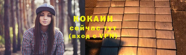 бошки Пересвет