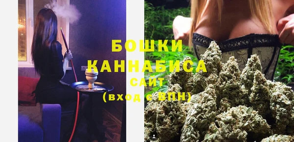 бошки Пересвет
