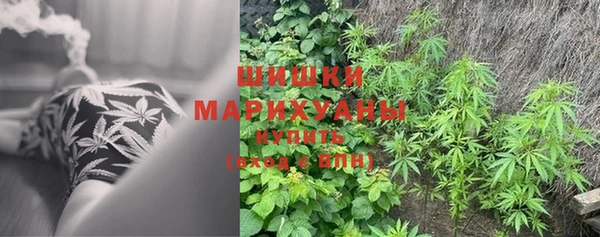 метадон Пестово