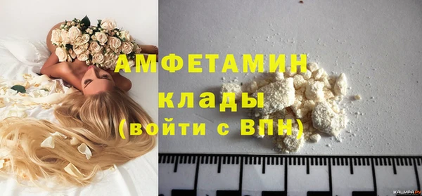 бошки Пересвет