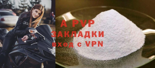 бошки Пересвет