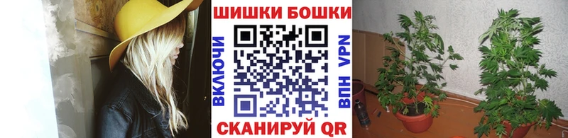 Бошки марихуана сатива  Семикаракорск 